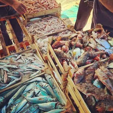 Sud 12 - Sul Mediterraneo Appartamento