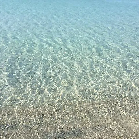 Sud 12 - Sul Mediterraneo * Mazara del Vallo