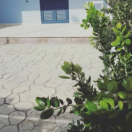Appartamento Sud 12 - Sul Mediterraneo *